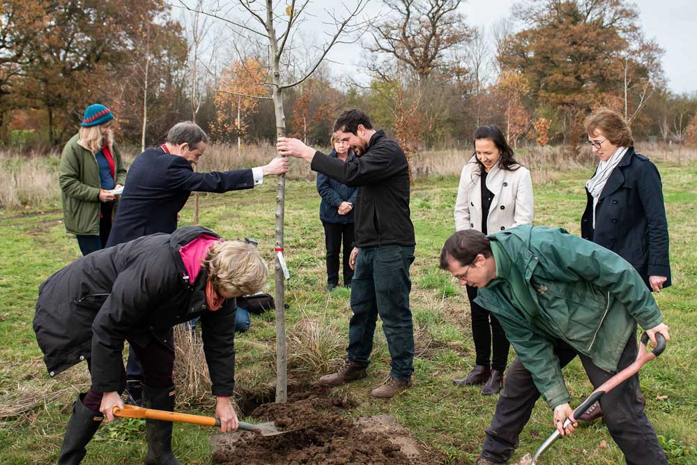 Shere Kitchens Tree Planting Gold Surrey Hills Award