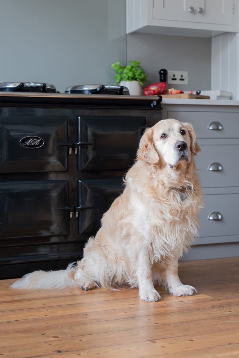 The Charterhouse Kitchen by Shere Kitchens - beautiful kitchens handmade in Shere Guildford Surrey