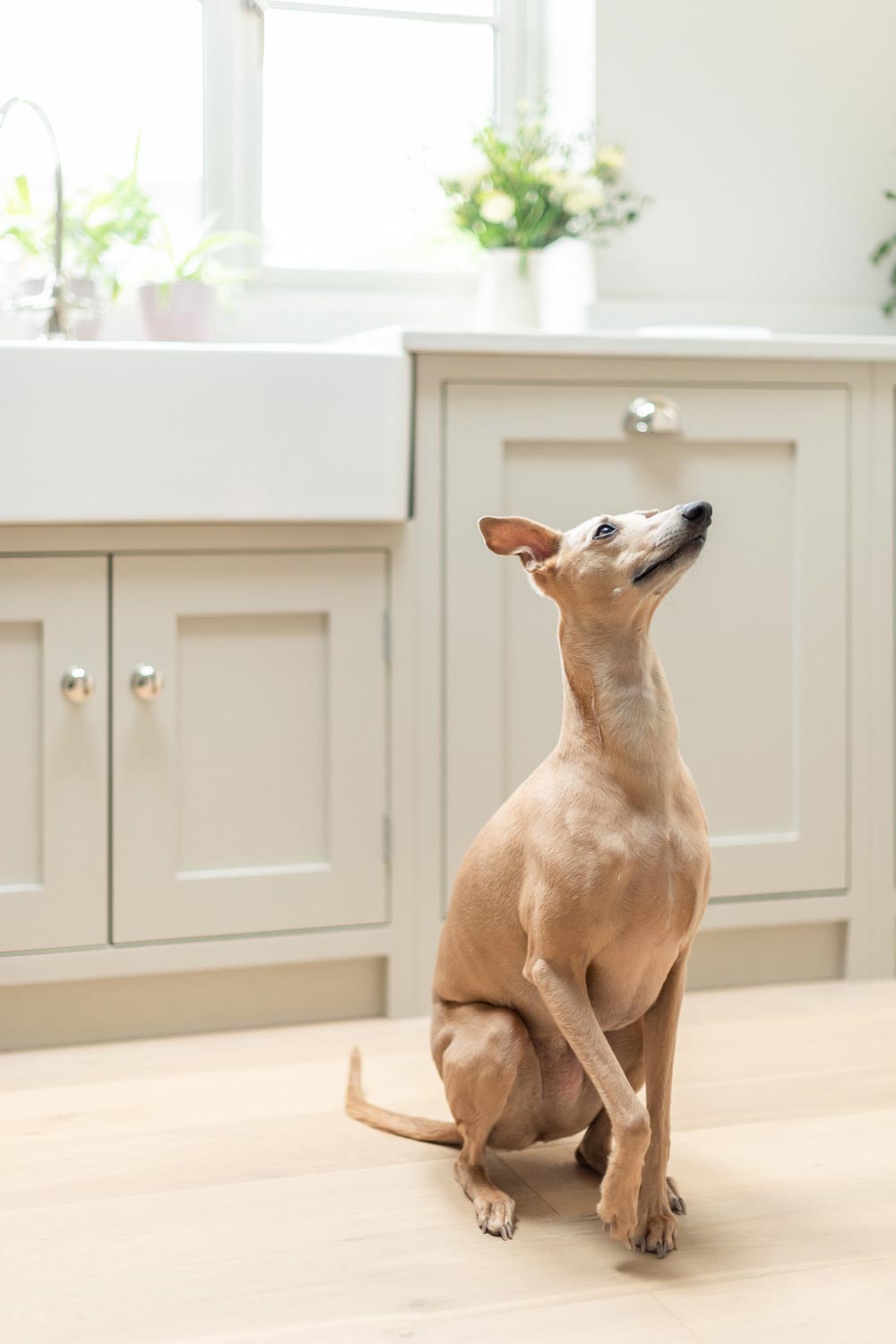 The Hambledon Kitchen by Shere Kitchens - beautiful kitchens handmade in Shere Guildford Surrey