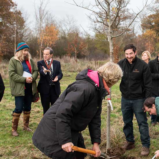 Sustainable Surrey Business plants a tree for every new Shere Kitchen