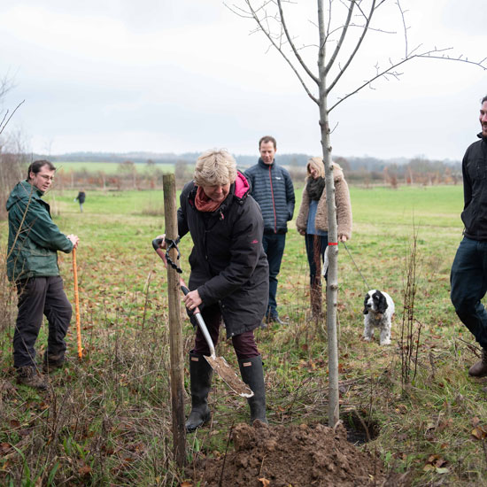 Sustainable Surrey Business plants a tree for every new Shere Kitchen